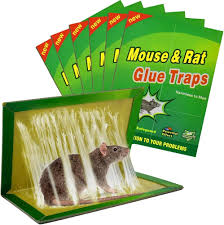 [INSECT.00515_1] PIEGE A COLLE POUR SOURIS 