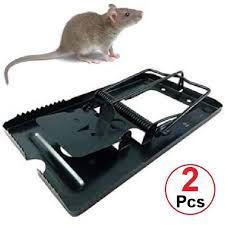 /TRAPPE/PIEGE POUR SOURIS  PM