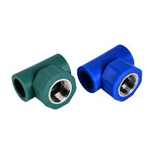  PS ARAX TE FEMELLE PPR 020 x 1/2  BLEU  