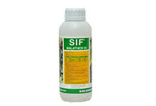 SIF MALATHION 50 Insecticide