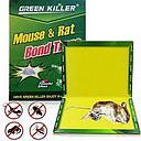 [INSECT.00515] COLLE POUR SOURIS 1